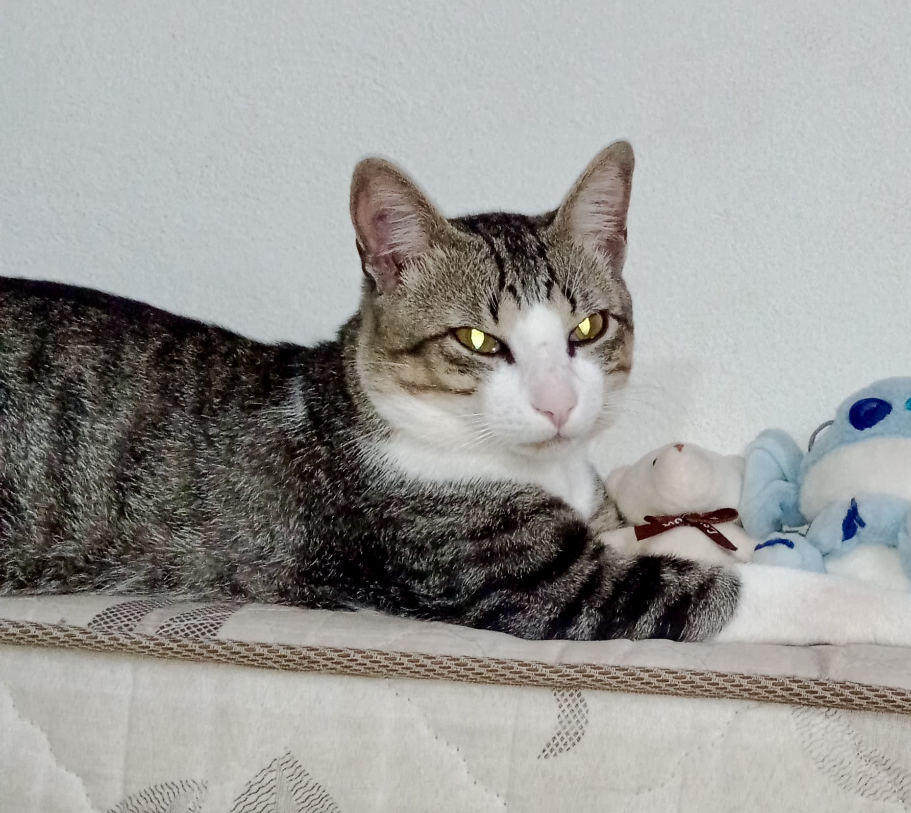 Faísca